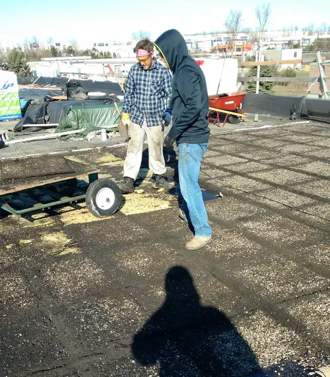 An old roof being stripped back to the deck before new shingles go on